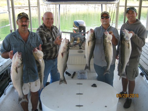 Nice Striped Bass